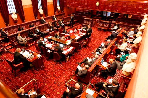 In the Legislative Council | Adam Searle MLC